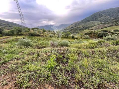 Quinta agrícola com 2,3 hectares em murça | vila nova de foz côa