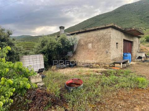 Quinta agrícola com 2,3 hectares em murça | vila nova de foz côa