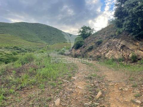 Quinta agrícola com 2,3 hectares em murça | vila nova de foz côa