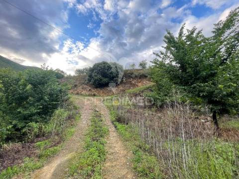 Quinta agrícola com 2,3 hectares em murça | vila nova de foz côa
