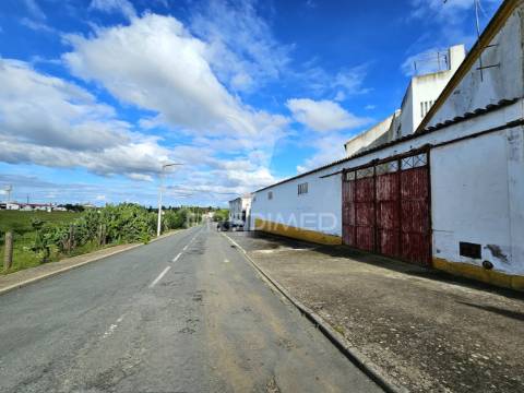 Lote com projeto de moradia em castro verde