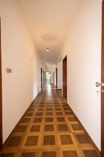 Monte típico alentejano    t 7