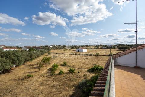 Monte típico alentejano    t 7