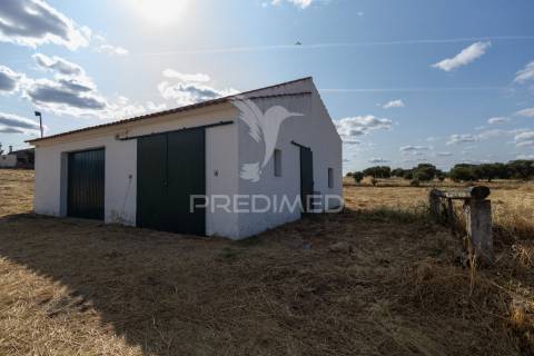 Monte típico alentejano    t 7