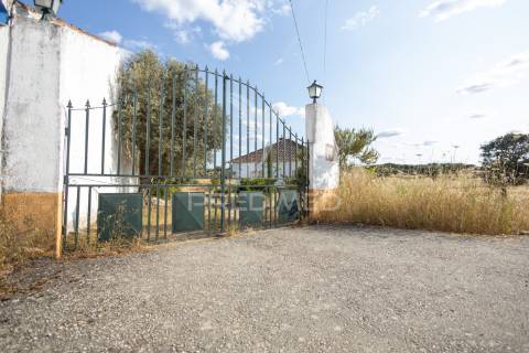 Monte típico alentejano    t 7