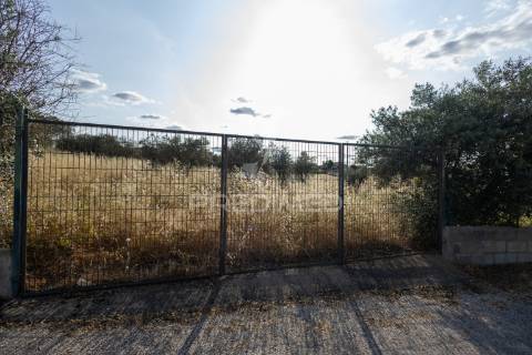 Monte típico alentejano    t 7