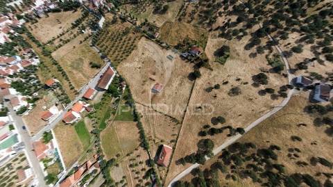 Monte típico alentejano    t 7