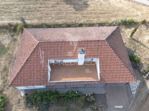 Monte típico alentejano    t 7