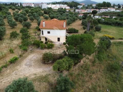 Quinta de sonho com 11 hectares em alcanena – um paraíso natural a 1h de lisboa!