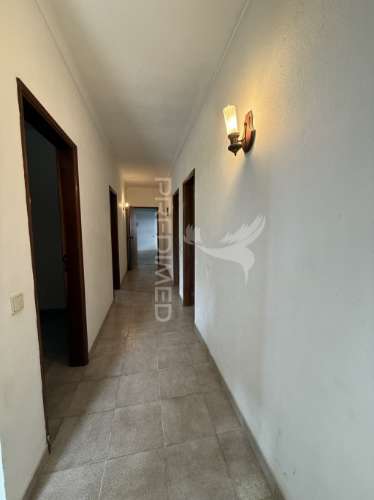 Quinta de sonho com 11 hectares em alcanena – um paraíso natural a 1h de lisboa!