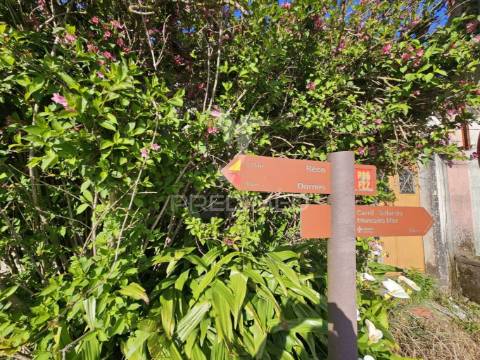 Casinha de campo para restaurar