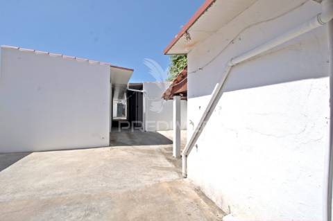 Moradia v5 com infraestrutura equestre no centro da golegã