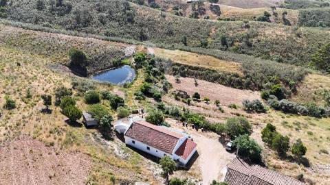 Monte alentejano a 50 km da costa com 90.000 m2 com sobreiros