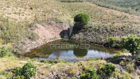 Monte alentejano a 50 km da costa com 90.000 m2 com sobreiros