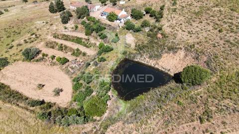 Monte alentejano a 50 km da costa com 90.000 m2 com sobreiros