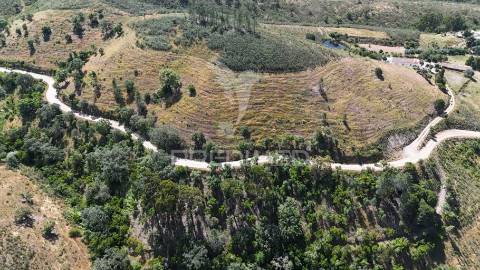 Monte alentejano a 50 km da costa com 90.000 m2 com sobreiros