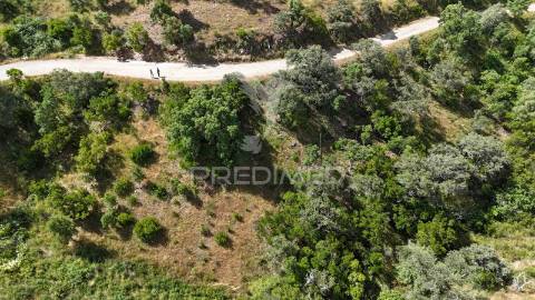 Monte alentejano a 50 km da costa com 90.000 m2 com sobreiros