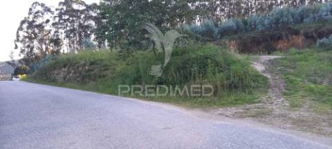 Terreno com 40 000m2. viabilidade de construção até 1 000m2. em sande são clemente, guimarães