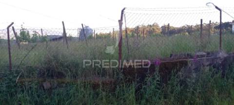 Terreno com 40 000m2. viabilidade de construção até 1 000m2. em sande são clemente, guimarães