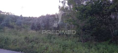 Terreno com 40 000m2. viabilidade de construção até 1 000m2. em sande são clemente, guimarães