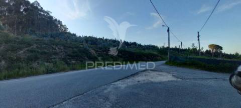 Terreno com 40 000m2. viabilidade de construção até 1 000m2. em sande são clemente, guimarães