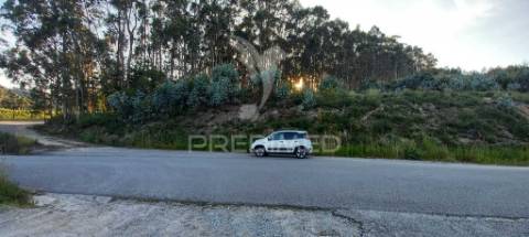 Terreno com 40 000m2. viabilidade de construção até 1 000m2. em sande são clemente, guimarães