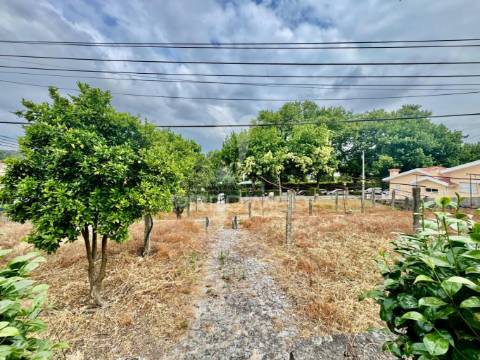 Moradia t3 independente - pevidém