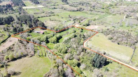 Quinta no concelho de trancoso com + de 16 hectares