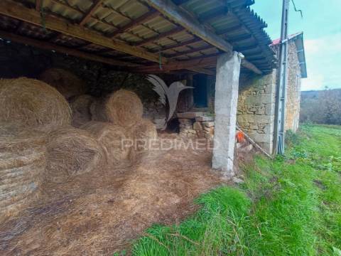 Quinta no concelho de trancoso com + de 16 hectares