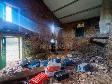 Quinta no concelho de trancoso com + de 16 hectares