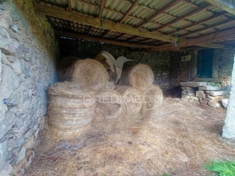 Quinta no concelho de trancoso com + de 16 hectares