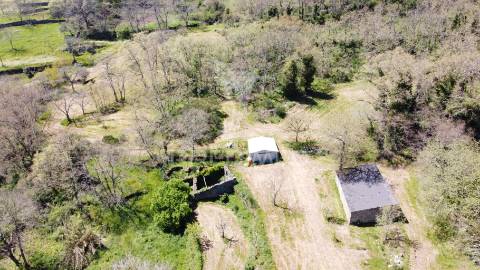 Quinta no concelho de trancoso com + de 16 hectares