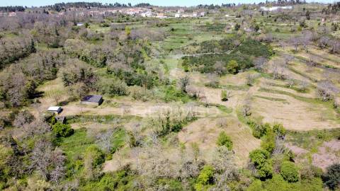 Quinta no concelho de trancoso com + de 16 hectares