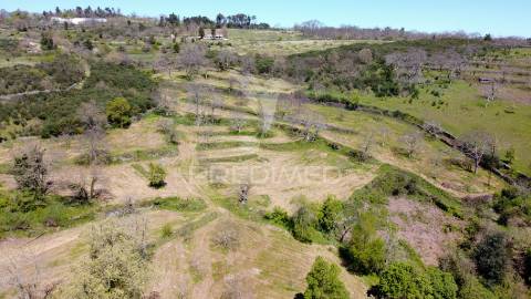 Quinta no concelho de trancoso com + de 16 hectares