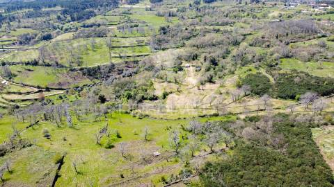 Quinta no concelho de trancoso com + de 16 hectares