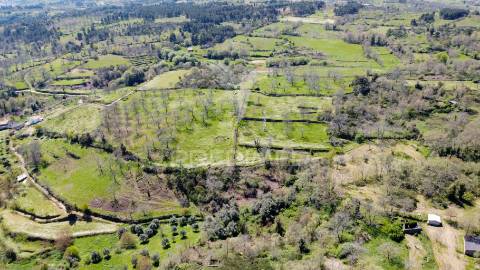 Quinta no concelho de trancoso com + de 16 hectares