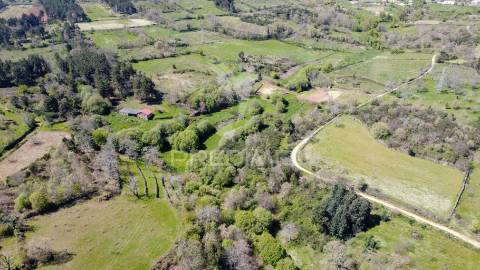 Quinta no concelho de trancoso com + de 16 hectares