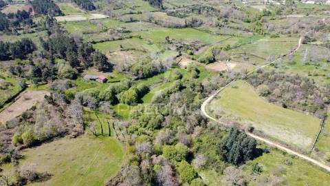 Quinta no concelho de trancoso com + de 16 hectares