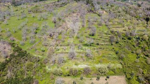 Quinta no concelho de trancoso com + de 16 hectares