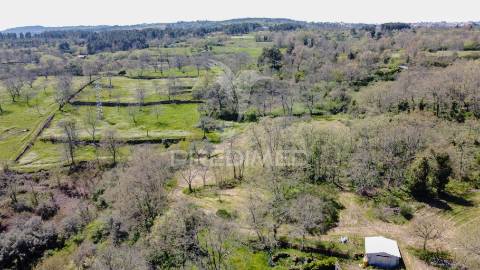Quinta no concelho de trancoso com + de 16 hectares