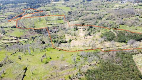 Quinta no concelho de trancoso com + de 16 hectares