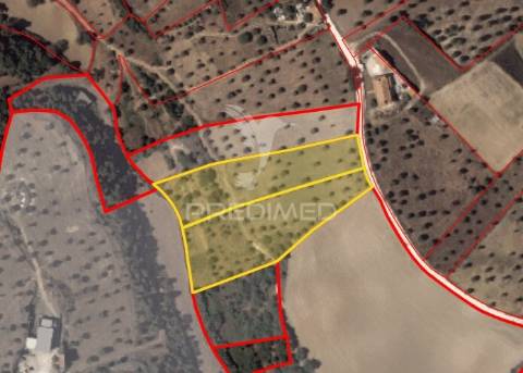 Dois terrenos rústicos, achete, santarém