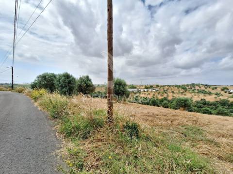Dois terrenos rústicos, achete, santarém
