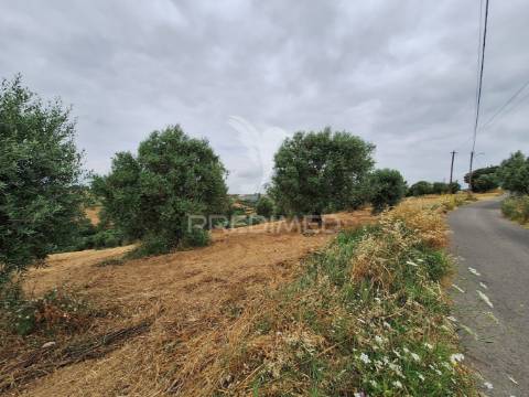 Dois terrenos rústicos, achete, santarém