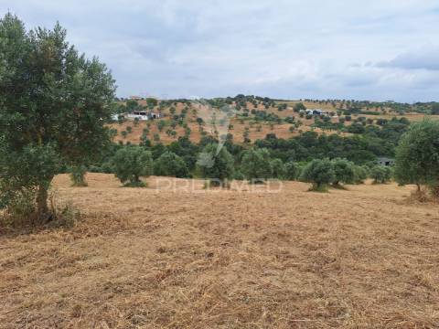 Dois terrenos rústicos, achete, santarém