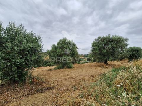 Dois terrenos rústicos, achete, santarém