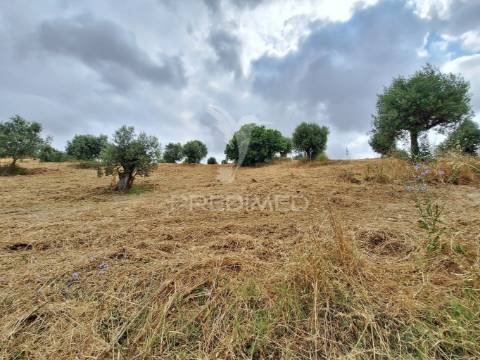 Dois terrenos rústicos, achete, santarém