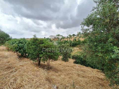 Dois terrenos rústicos, achete, santarém