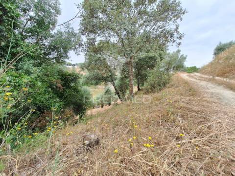 Dois terrenos rústicos, achete, santarém
