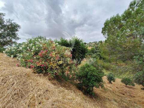 Dois terrenos rústicos, achete, santarém